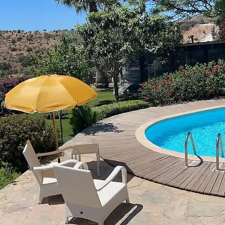 Private House With Pool And Garden In Bitez