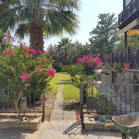 Private House With Pool And Garden In Bitez Bodrum